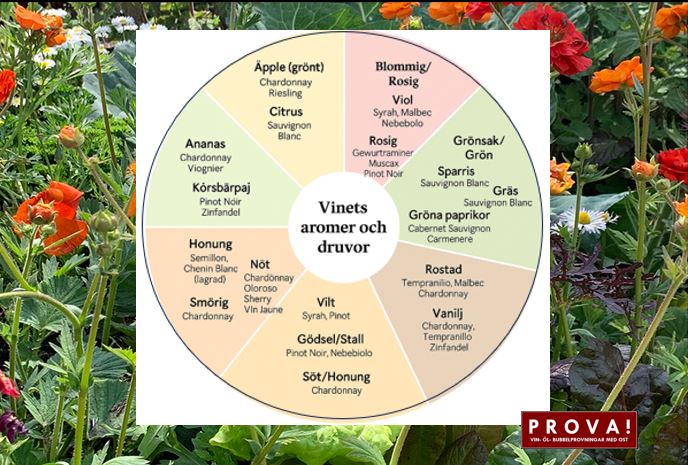 Är vitt vin ostarnas favorit ?