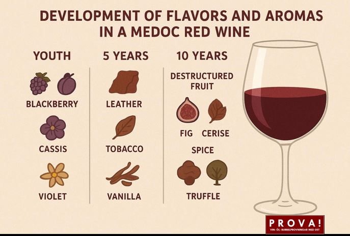 Vad händer när ett vin lagras ?