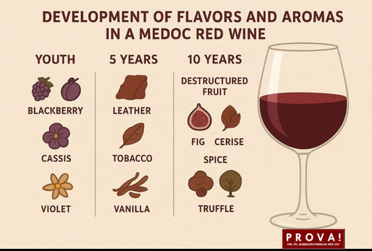 Vad händer när ett vin lagras ?